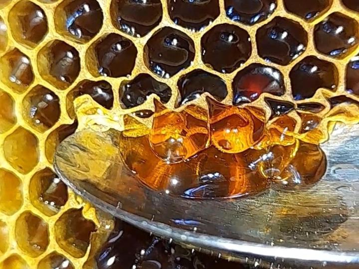 شقة Honey-House “Kastrioti” Përmet المظهر الخارجي الصورة