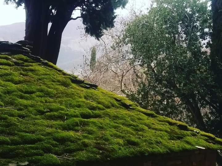 شقة Honey-House “Kastrioti” Përmet المظهر الخارجي الصورة