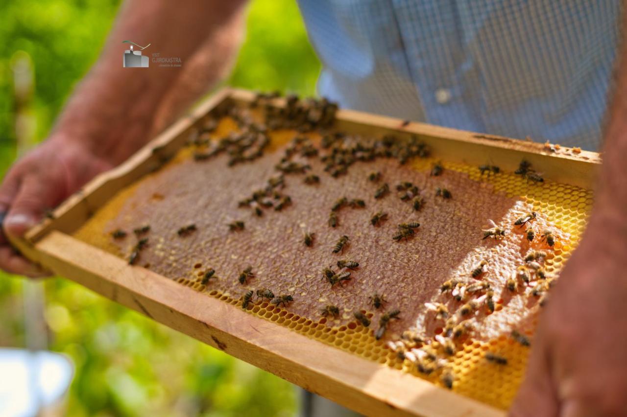 شقة Honey-House “Kastrioti” Përmet المظهر الخارجي الصورة